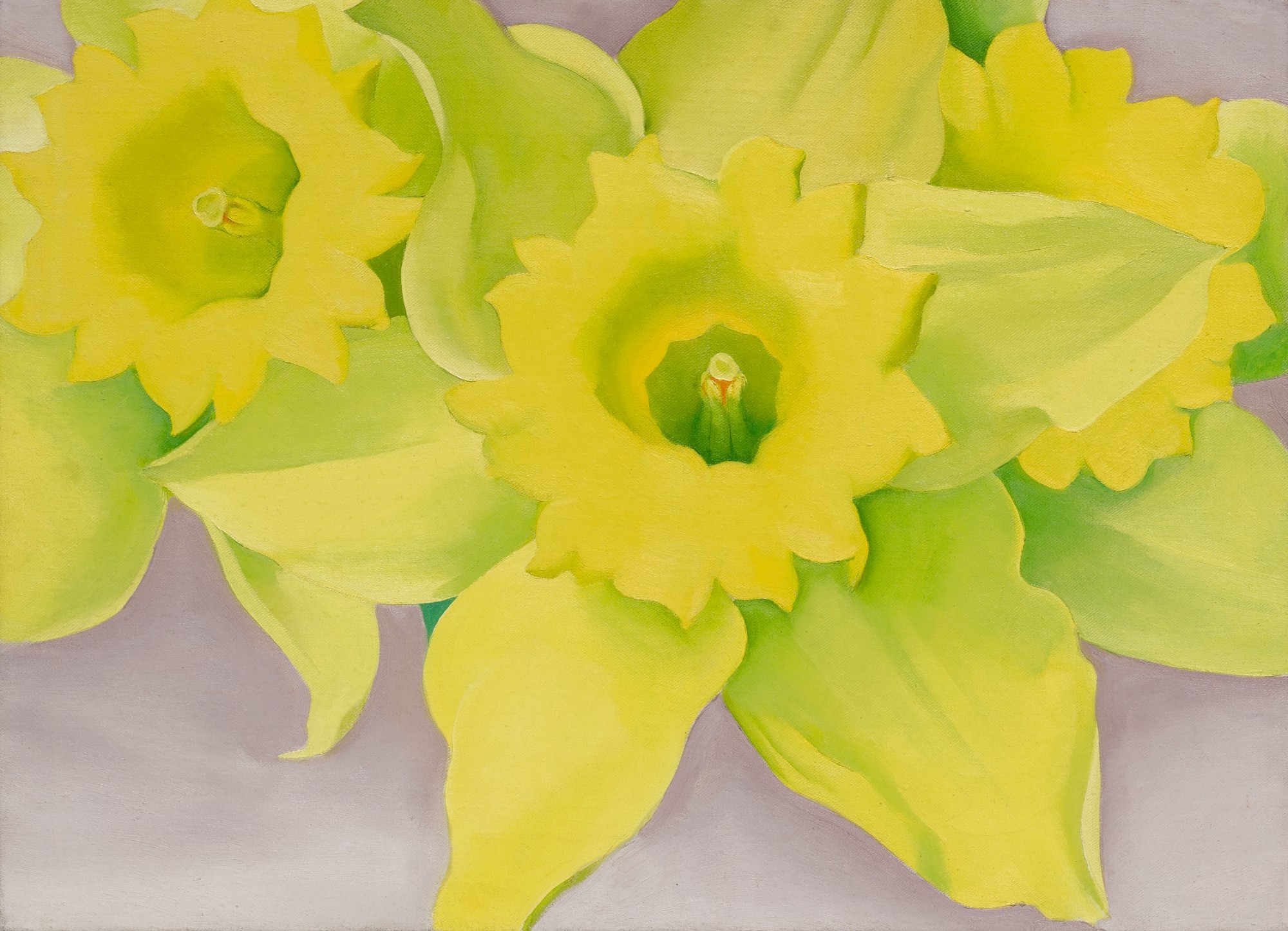 JONQUILS I by Georgia O'Keeffe, Painted in 1936