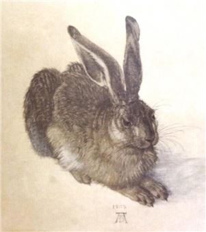 Young Hare - Albrecht Dürer