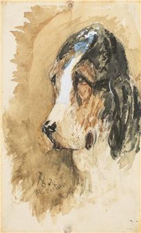 Tête d'épagneul - Henri de Toulouse-Lautrec
